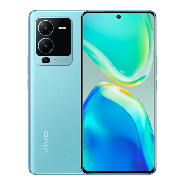Vivo V25 Pro Skins & Wraps