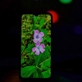 PM96 phone skins of nature black