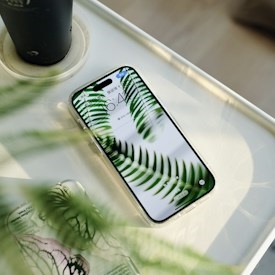 PM96 phone skins of nature leaf